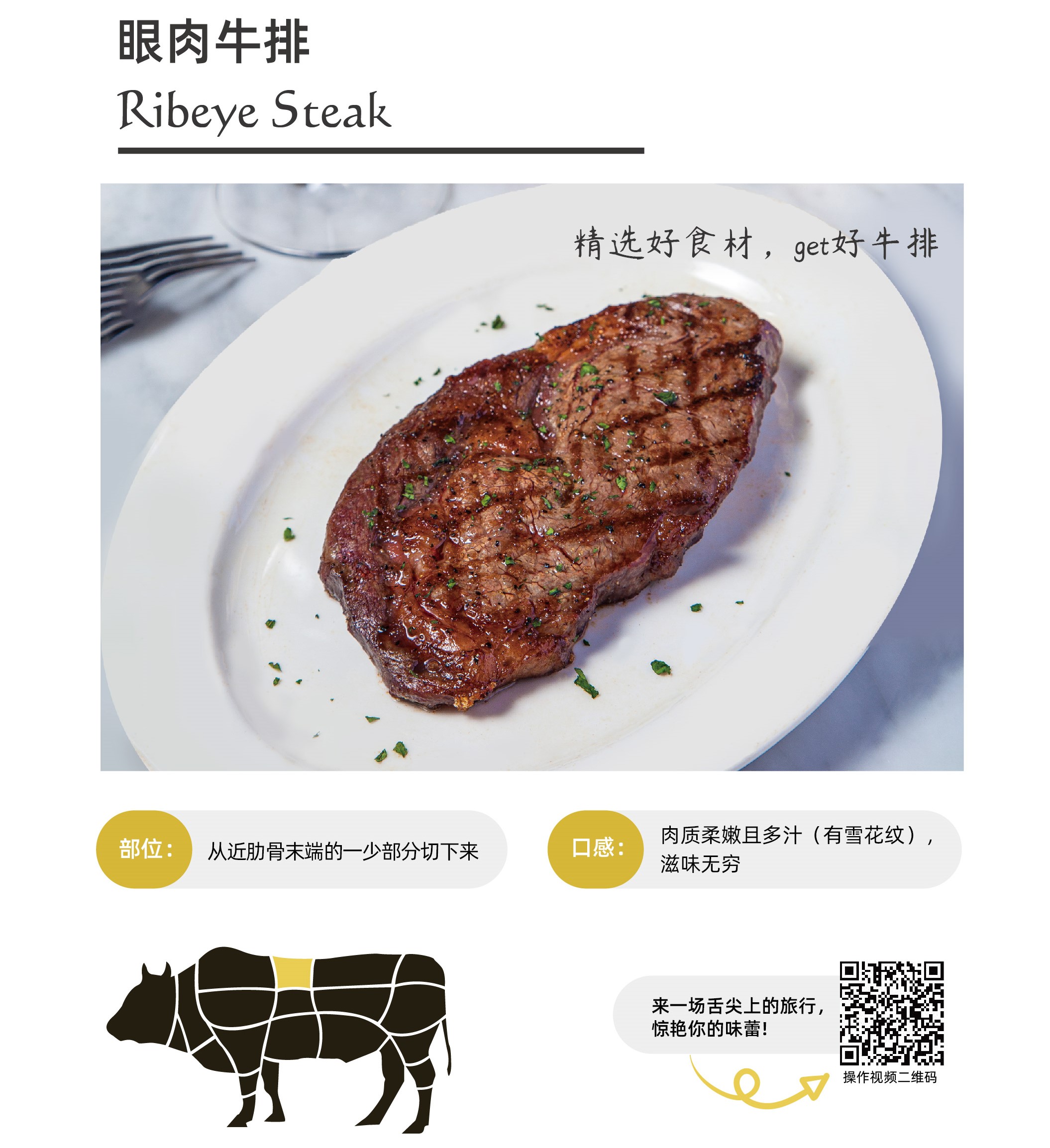 插页手册-12.jpg